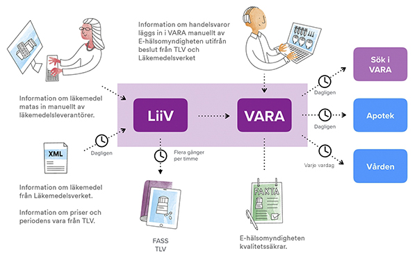 liiv-vara-info-flode-liten_2024.jpg